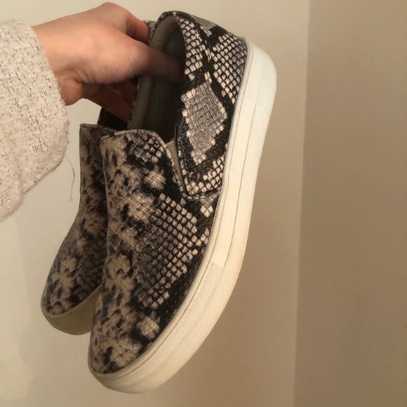 Steve Madden Gills platform snake print sneakers - Picture 1 of 6